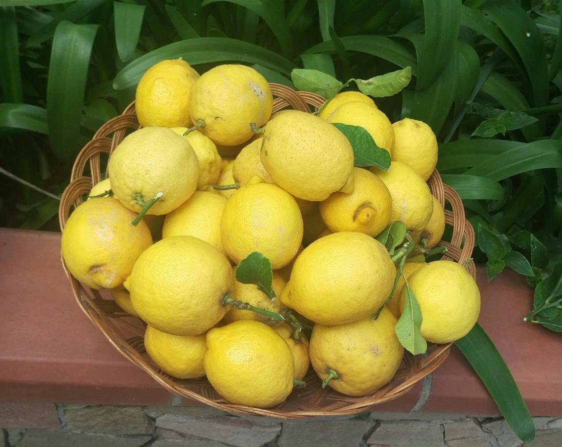 I Limoni Del Sud Sardegna Villa Assemini Dış mekan fotoğraf